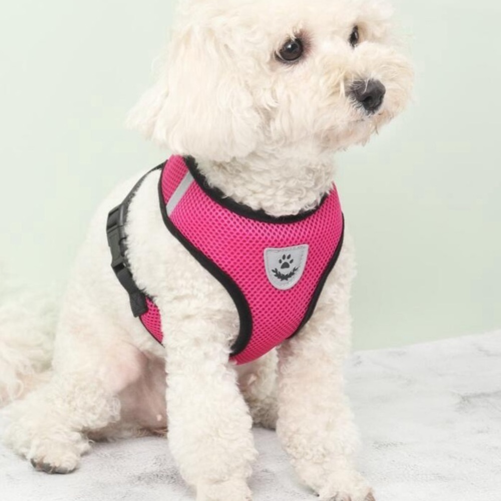 Beautiful Pet Chest & Back Strap Breathable Vest Style Dog Walking Tool Suitable